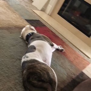 Meet your Posher, David